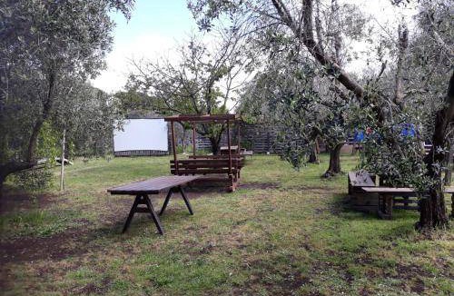 Ciampino Bed & Breakfast | 40 m² Bed and breakfast ∙ 7 guests