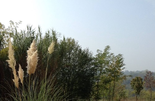 Vignale Monferrato House | La Bordona Gioiello Del Monferrato