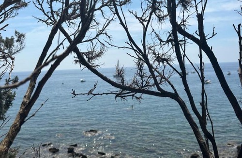 Quercianella Apartment | La Casetta al mare