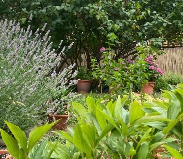 Castiglione dei Pepoli Apartment | La Corte dei Lillà