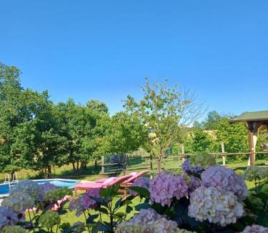 Saint-remy-de-provence Bed & Breakfast | La diligenza