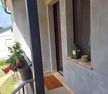 Curetta House | La Foresteria
