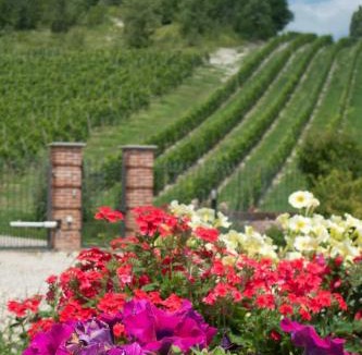 Calamandrana House | La Giribaldina Winery & Farmhouse
