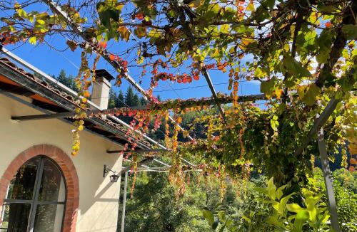Barga House | La Limonaia di Casagrande