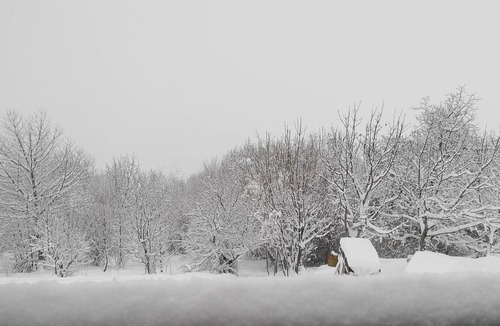 Nus Apartment | LA MAISON DES CHATS strategically located for visiting the entire Aosta Valley