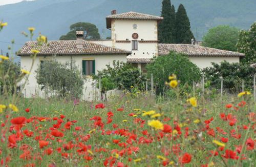 Poreta House | La Palombaia