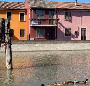 Loreo House | La Riviera