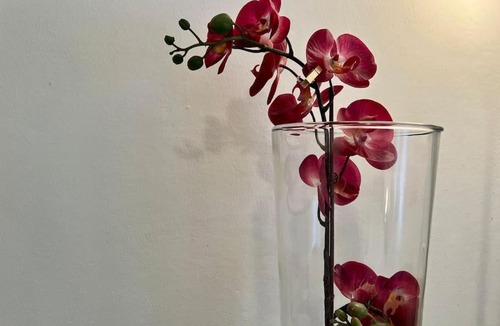 Casalecchio di Reno Apartment | La tana del Diego