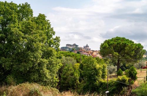 Montefiascone Apartment | La Tuscia da Quassù