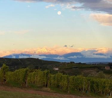 Mango Apartment | Langhe da cartolina