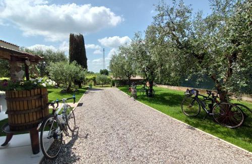 Colà Di Lazise Bed & Breakfast | Le Zampolle B & B