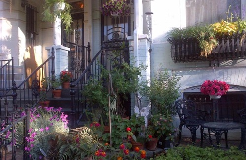 Le Droit Park Bed & Breakfast | Ledroit Park Renaissance B&B