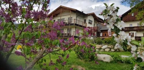 Chifa Apartment | Leierhof Wicky