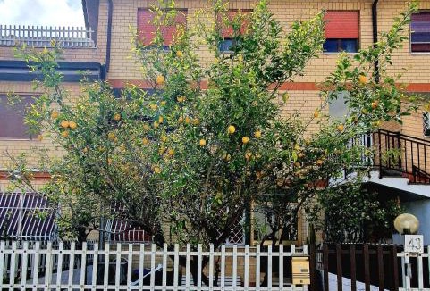 Ostia Antica Apartment | Lemon Tree House