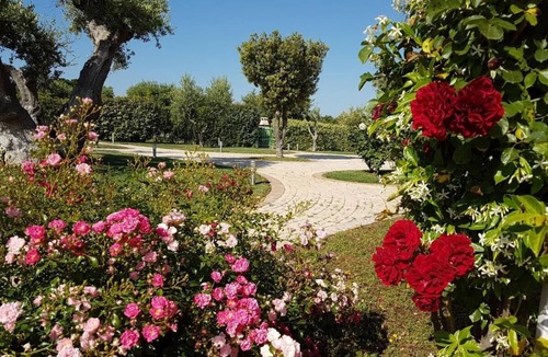 Conversano Villa | Leralora-Cherry House. Elegant villa with swimming pool, a stone's throw from the sea
