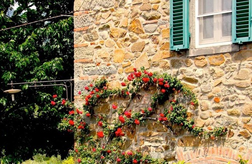 Massa e Cozzile House | Lovely accommodation in a typical tuscan farmhouse. Cooking Class on site