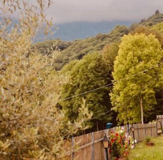 Sanfront House | Luce sul Bric