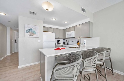 Brush - Stewarts Condo | Luxury 18th Floor 1 BR Condo Direct Oceanfront Wyndham Ocean Walk Resort Daytona Beach | 1808