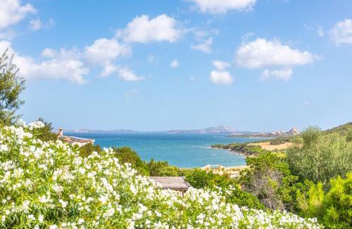 Baja Sardinia Villa | Luxury Villa in Cala dei Ginepri