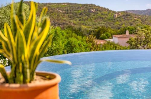 Baja Sardinia Villa | Luxury Villa in Cala dei Ginepri