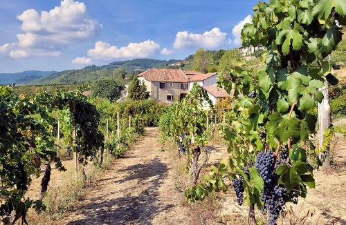 Cessole House | MARENCO LANGHE COUNTRY HOUSE Gillo House | with pool, garden, view, wi-fi