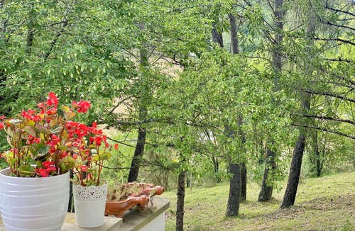 Piediluco House | Marmore waterfall 10 min and 5 min from Lake d Piediluco Apartment 4 places