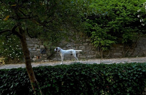 Loreto Villa | Medioevo&Design, Historical Umbria Tower With Private Pool, gardens, parkings