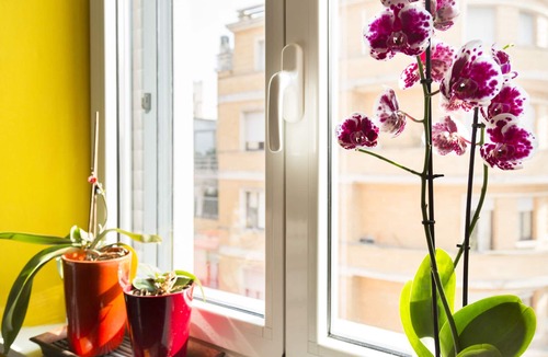 Milan Apartment | Milano City - Studio / Studio - Fiera area