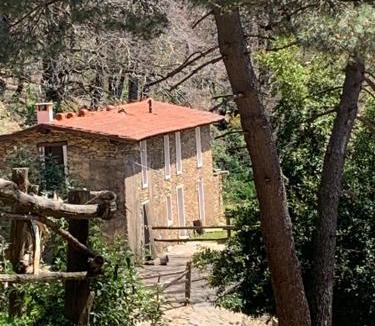 Massa House | Monte Brugiana Centro trekking a cavallo