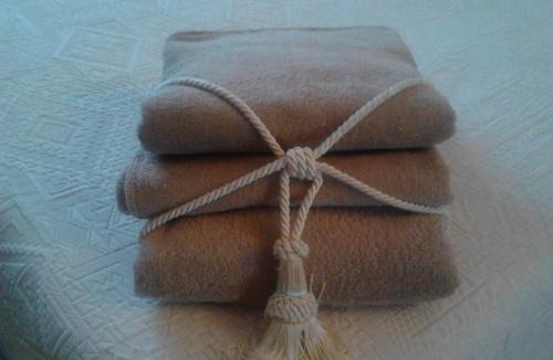 Castrezzato Bed & Breakfast | Morgana