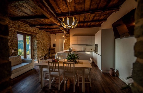 Pieve Fosciana Apartment | Newly renovated barn with beautiful infinity pool and garden, walk to restaurant