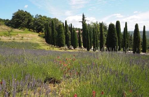 San Gimignano Apartment | Nice apartment for 6 people with WIFI, pool and panoramic view, close to San Gimignano