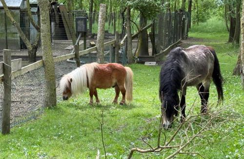 Castiglione di Cervia House | Nuovo Agriturismo Angelini