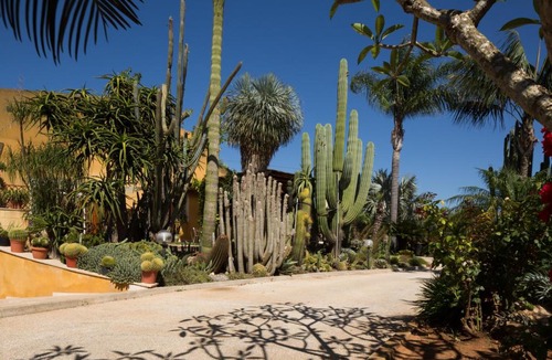 Marsala Apartment | Oasi delle Succulente