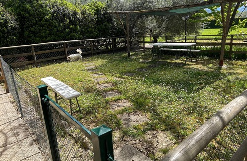 Santa Maria degli Angeli Apartment | One Bedroom Apartment for 2/4 people (Gemini)