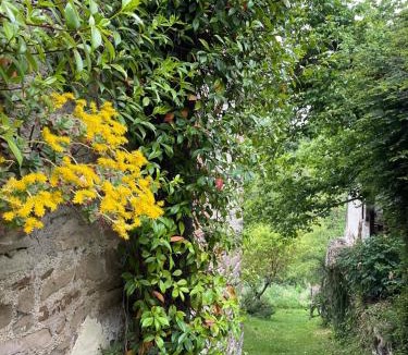 Orbregno House | Orbregno Country Houses with Personal Wine Cellar