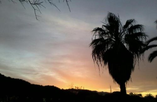 Sant'Antioco House | Orchidea House