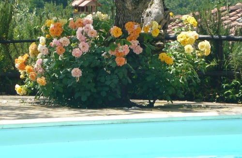 Gavignano Apartment | PASSERO:Peaceful farmhouse close to Tuscany 's best treasures, 1 mile from shops