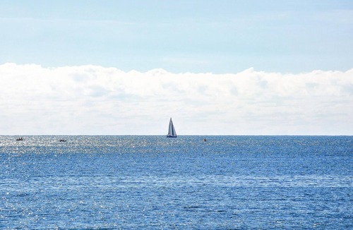 Rosolina Mare Apartment | Pet friendly apartment