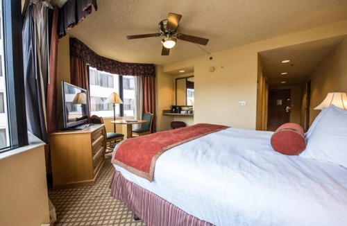 Mount Crested Butte Hotel | Pet-Friendly King Room | Pools and Near The Slopes