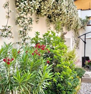 Pizzighettone Apartment | Pizzighettone Residenza La Corte