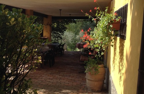 Gassano Apartment | Podere La Piana - Olivo apartment
