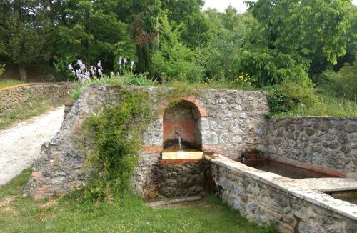 Massa Marittima House | Podere Pancoli
