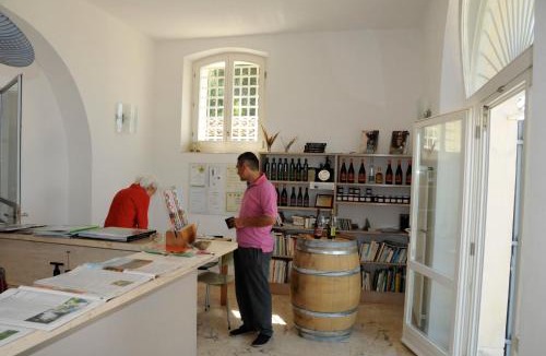 Massa Marittima House | Podere Riparbella