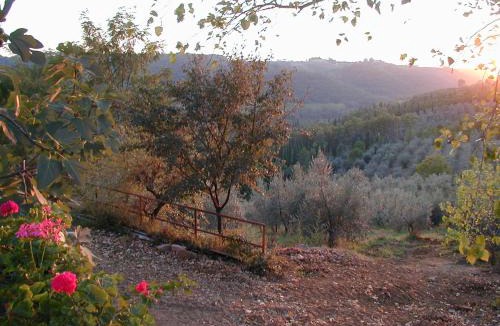 Mercatale Val di Pesa House | Poggio Borgoni