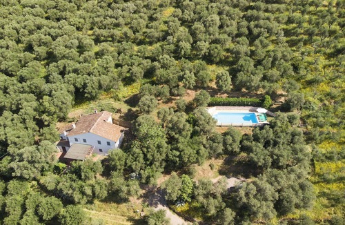 Calci Villa | PRIVATE POOL - FARMHOUSE FATTORIA LA PIEVE - Villa VIGNA 8 km from Pisa