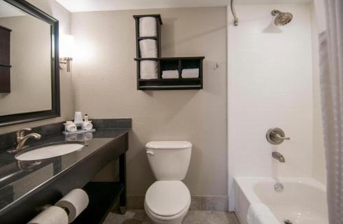 Jackson Apartment | Queen Bed Hotel Suite 244