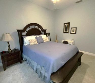 Wesley Chapel House | Quiet Lakeview Home in Wesley Chapel