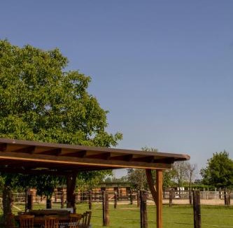 Fossalta Maggiore Bed & Breakfast | Ranch borgo bella vita