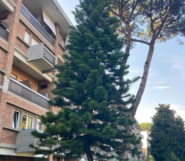 Quartiere XIII Aurelio Apartment | Roma Bella